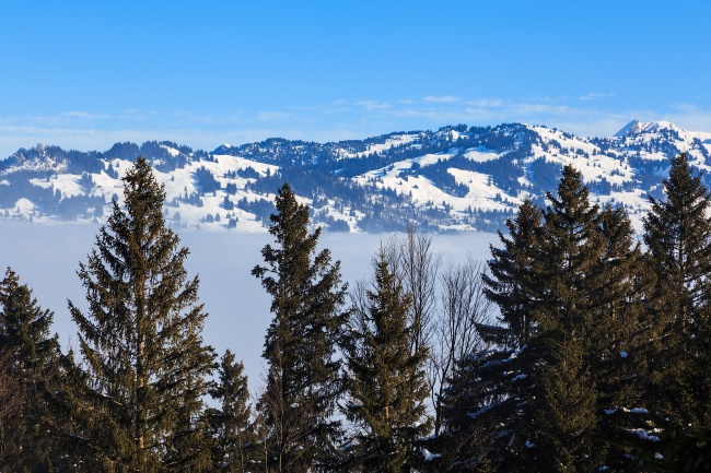 瑞士冬天雪山景观图片