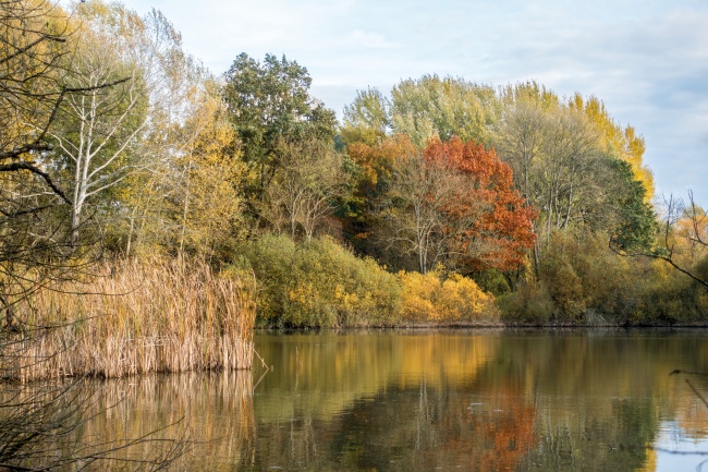 秋天湖泊景观图片