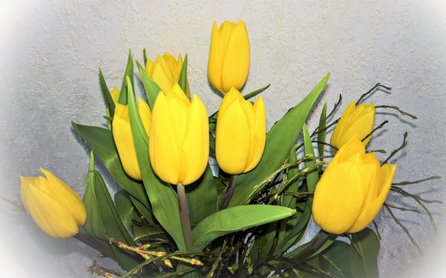 黄色郁金香鲜花图片