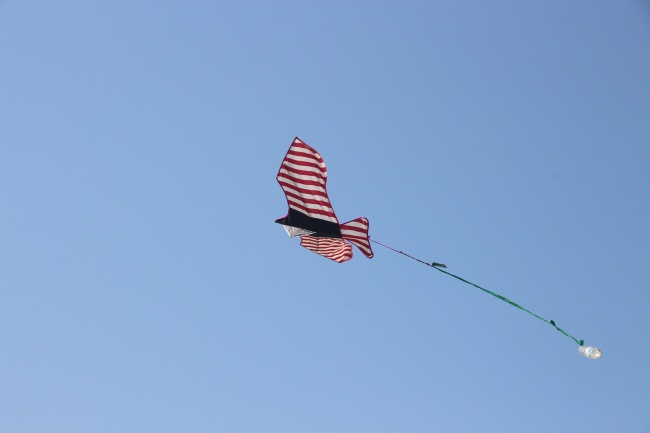 自由飞行的风筝图片
