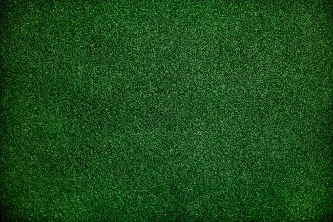 深绿色草地背景图片