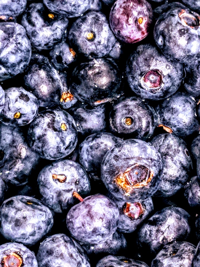 新鲜蓝莓果子图片