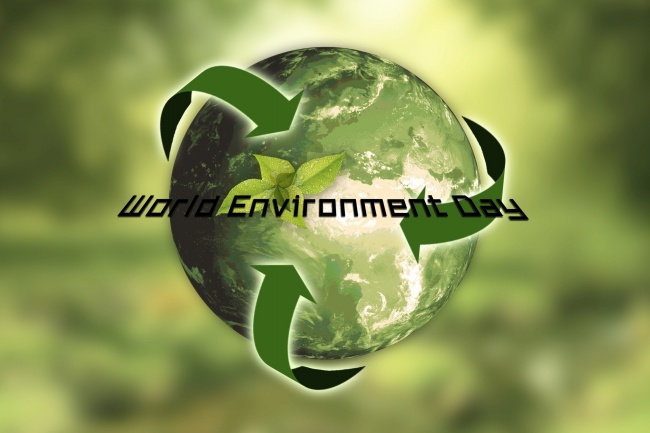 世界环境日宣传简报图片