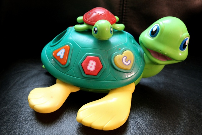 儿童玩具乌龟图片