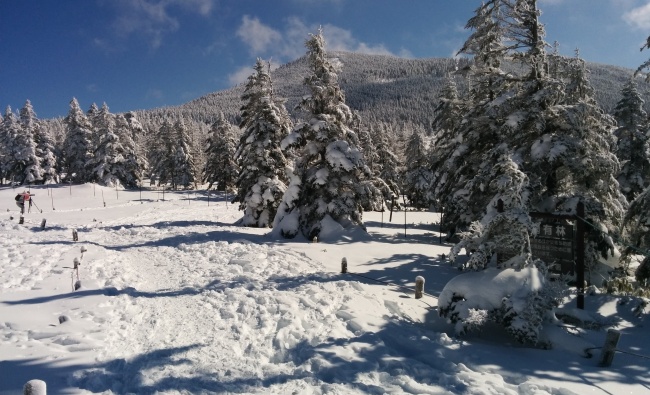 冬天高山雪地风景图片