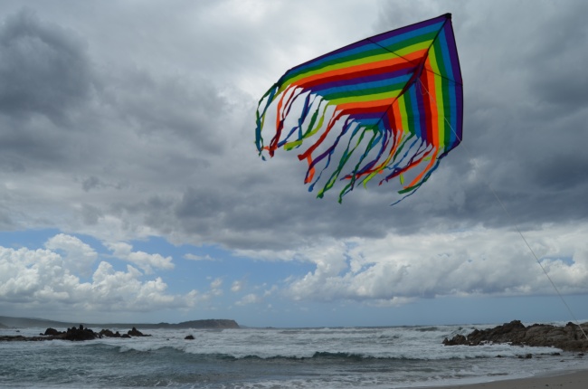 海面上高飞的风筝图片