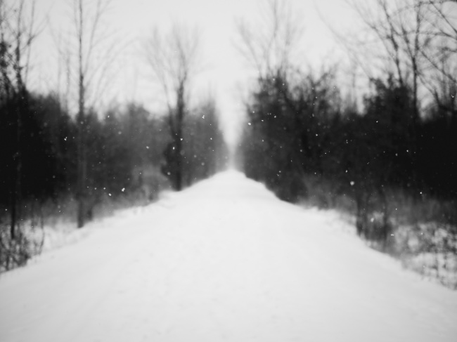 黑白意境冬季雪景图片