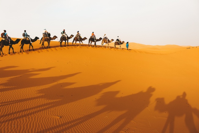 沙漠骆驼队伍摄影图片