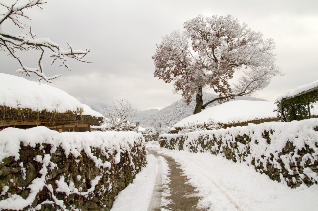 冬天路面积雪景观图片