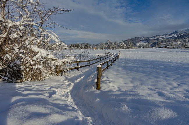 寒冬白色雪景图片