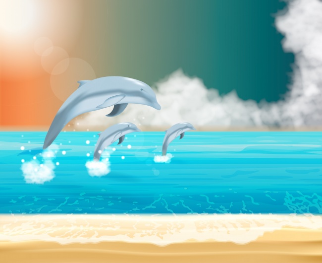 海洋海豚卡通图片
