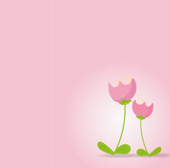 郁金香粉色背景图片