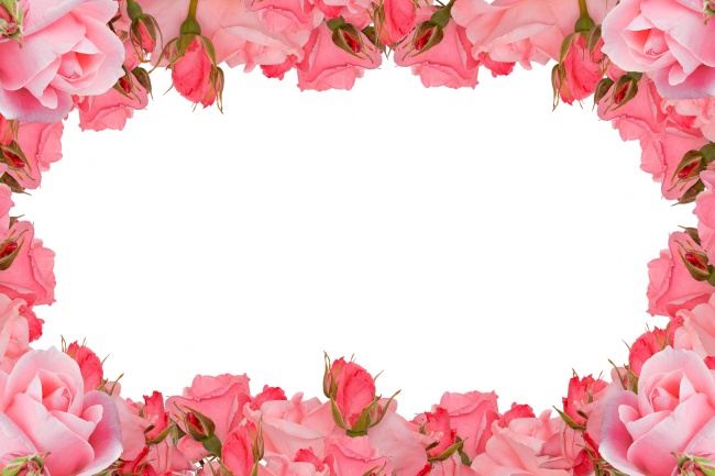粉色玫瑰花框图片素材