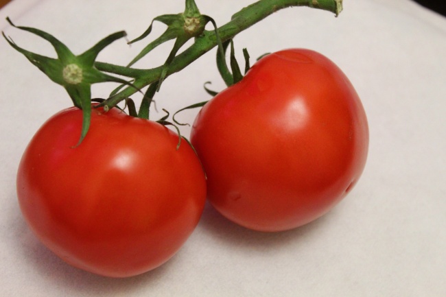 营养西红柿图片