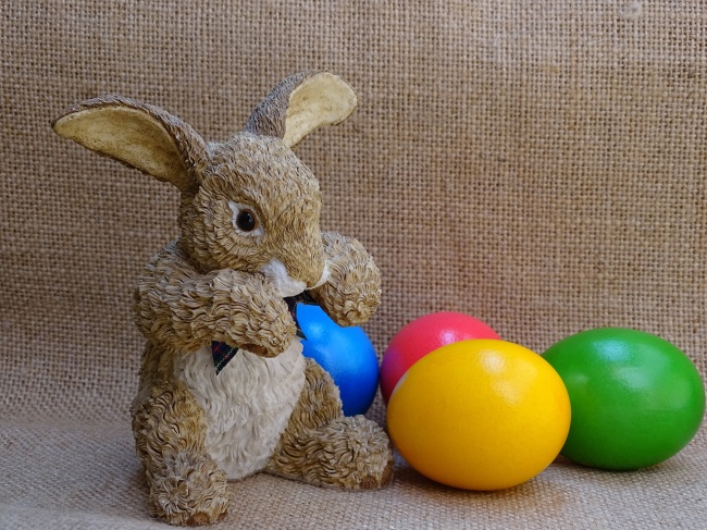 复活节彩蛋兔子素材图片