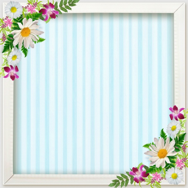 正方形花卉装饰相框图片