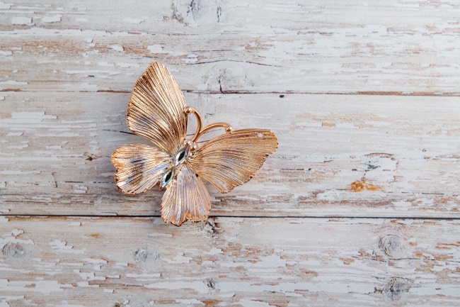 木桌上的装饰蝴蝶图片