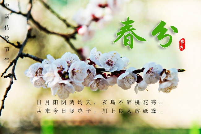 中国传统节气春分图片