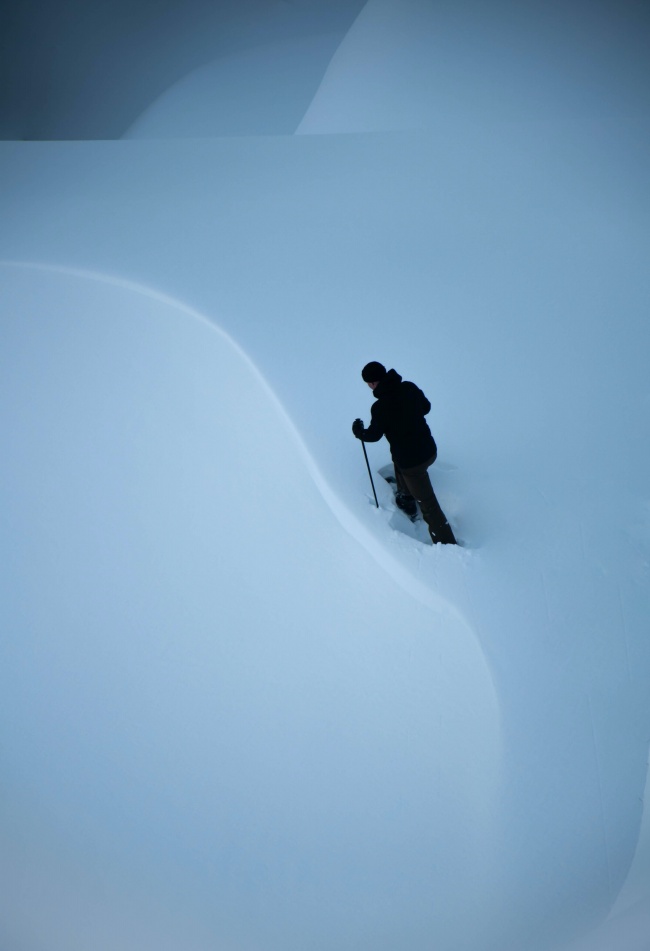 冬季白色雪地行走的背影图片