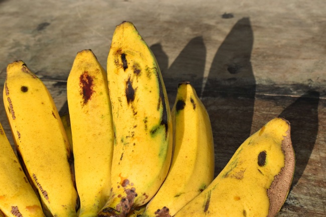黄色成熟香蕉串图片