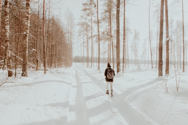 冬季走在树林小路上的背影图片