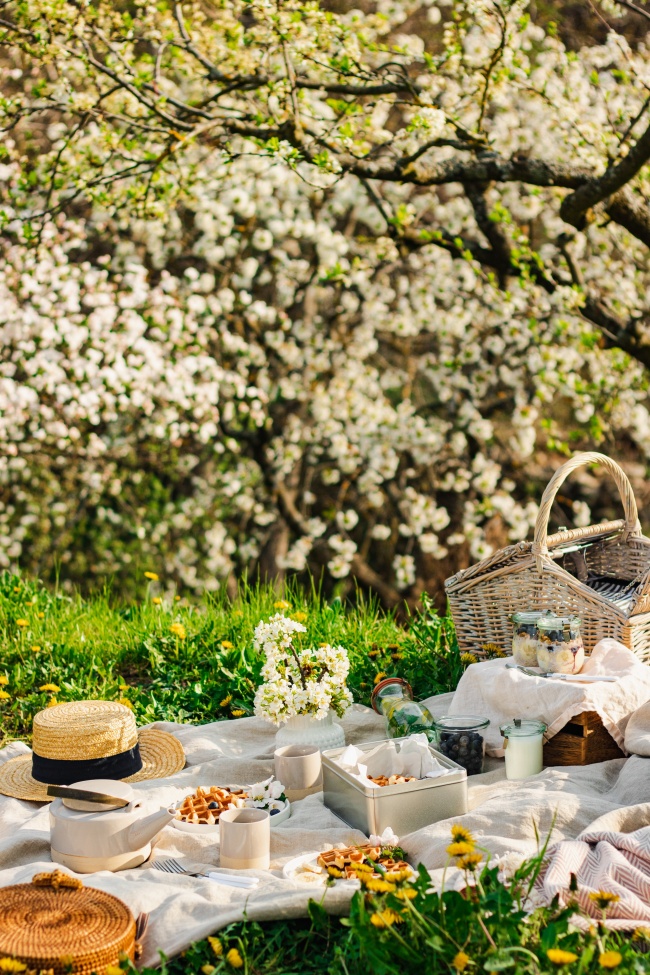 春天踏青野餐美食图片