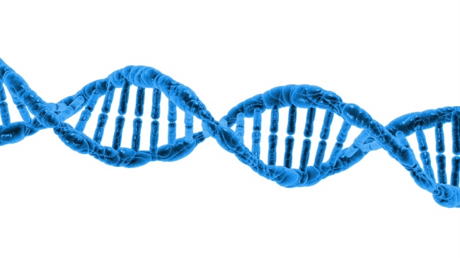 DNA螺旋分子结构图片