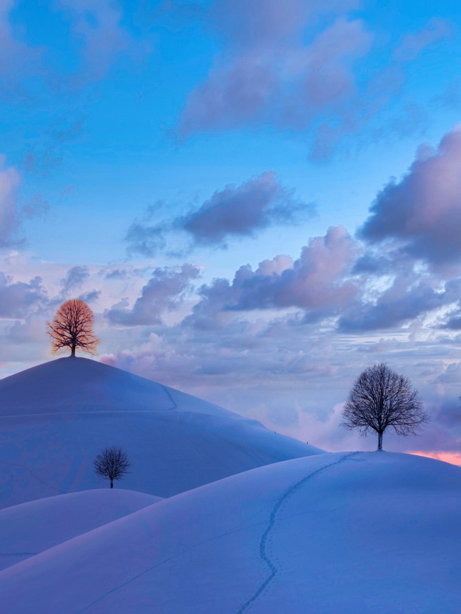 冬日山头雪景图片