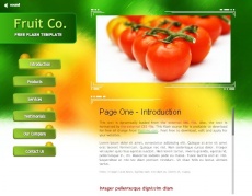 农业绿色蔬菜网站flash动画
