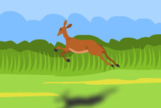 草原上奔跑的鹿flash动画