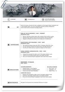 网页开发员英文个人简历模板