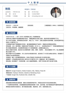 专业市场总监蓝调简历模板