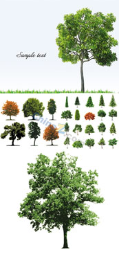 绿色树木矢量素材