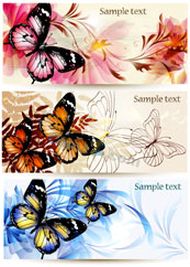 蝴蝶花纹横幅模板矢量设计