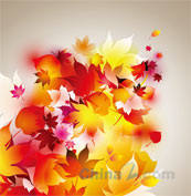 秋季树叶装饰背景图矢量