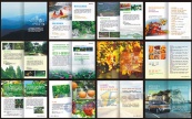 生态旅游画册矢量模板
