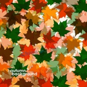 彩色秋叶背景矢量图