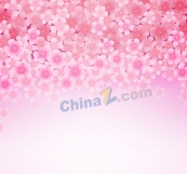 粉色樱花花朵背景图