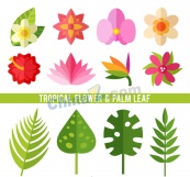 热带植物花卉和叶子矢量素材