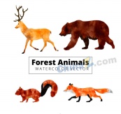 水彩绘动感森林动物矢量图