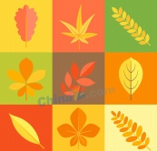 彩色秋季叶子矢量素材