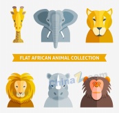 扁平化非洲动物头像矢量素材