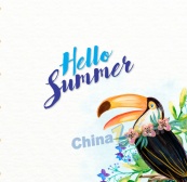 彩绘夏季犀鸟和花卉矢量素材