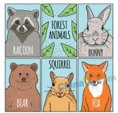 彩绘森林动物卡片矢量图