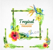水彩绘热带花卉边框矢量图