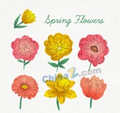 彩绘春季花朵矢量素材