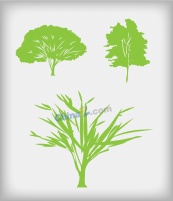 树木灌木矢量图