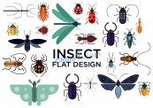 扁平化昆虫设计矢量素材