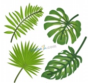 逼真绿色热带植物叶子矢量素材