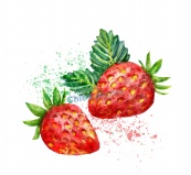 水彩绘草莓矢量素材